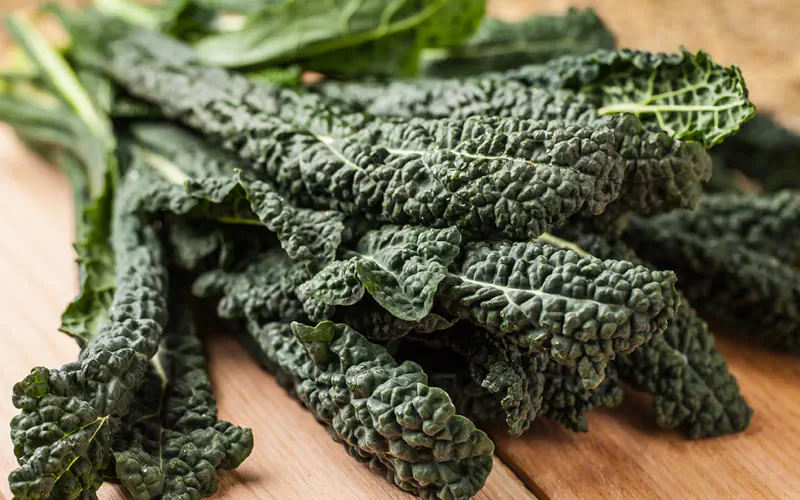 cavolo-nero