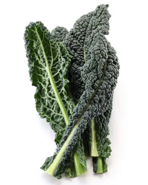cavolo-nero